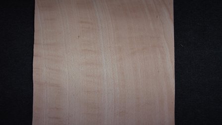 Beech Veneer 215 x 20 cm | 0.6mm | 0,430m&sup2;