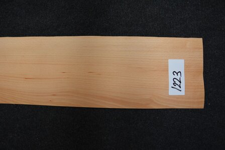 Beech Veneer 309 x 15-16 cm | 0.6mm | 0,479m&sup2;