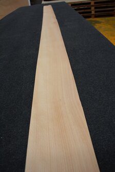 Beech Veneer 309 x 15-16 cm | 0.6mm | 0,479m&sup2;