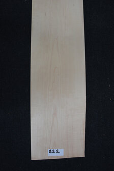 Maple Veneer  240 x 26-24cm | 0.6mm | 0,600m&sup2;