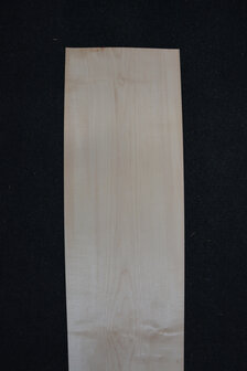 Maple Veneer  240 x 26-24cm | 0.6mm | 0,600m&sup2;