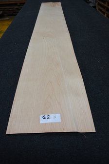 Maple Veneer 245 x 15-17cm | 0.6mm | 0,392m&sup2;