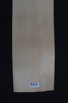 Maple Veneer 245 x 15-17cm | 0.6mm | 0,392m&sup2;
