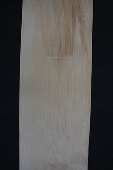 Maple Veneer 245 x 15-17cm | 0.6mm | 0,392m&sup2;