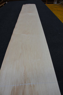 Maple Veneer 245 x 15-17cm | 0.6mm | 0,392m&sup2;