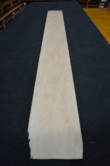 Maple Veneer 220 x 20-24cm | 0.6mm | 0,484m&sup2;