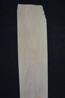 Maple Veneer 220 x 20-24cm | 0.6mm | 0,484m&sup2;