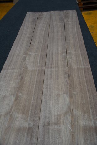 American Walnut Veneer 233 x 15-17 cm | 0.6mm | 0,370m²