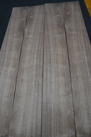 American Walnut Veneer 233 x 15-17 cm | 0.6mm | 0,370m²