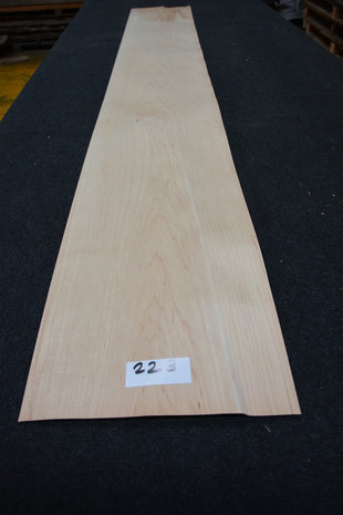 Maple Veneer 245 x 15-17cm | 0.6mm | 0,392m²