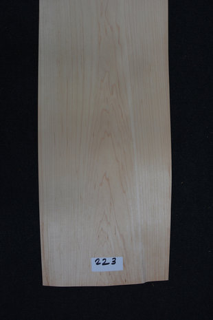 Maple Veneer 245 x 15-17cm | 0.6mm | 0,392m²