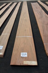 American Walnut Veneer 283 x 14-20 cm | 0.6mm |0,566m² American Walnut Veneer 283 x 14-20 cm | 0.6mm |0,566m²